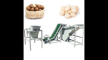 Macadamia Nut Cracker Shelling Peeling Machine Walnut Hazelnut Almond Cracker Processing Equipment
