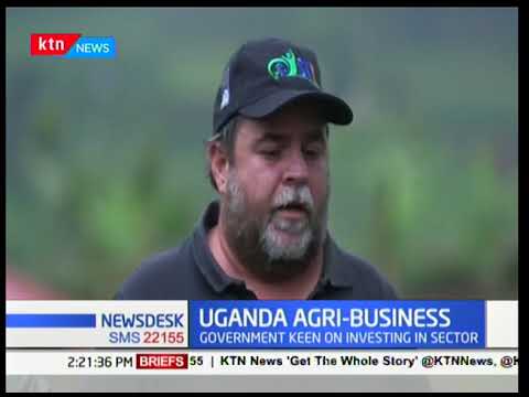 Uganda Agri Business Employs 69 Ofr The The Population Ktn News