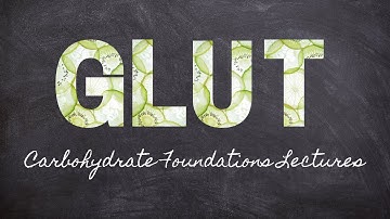 GLUTs Get Glucose into Cells | Part 6 Carbohydrate Foundations | Macronutrients Lecture 52