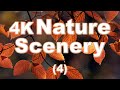 Nature Scenery (4) [4K UHD]