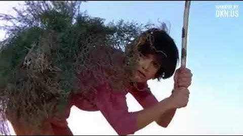 Trộm trứng đà điểu phiên bản thượng đế cũng phải cười   LOL