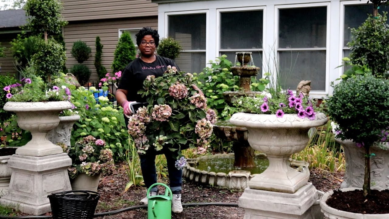 Hydrangea Removal Hydrangea Removal // Boxwoods // Insane Gas Prices and Lowes Plant ...