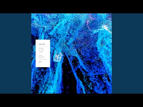 Driven By The Stars Feat Ant Art Fur Coat Remix