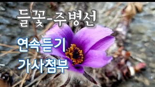 주병선-들꽃 (연속듣기)가사첨부