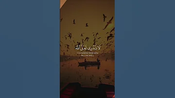 حالات واتس قران كريم بصوت جميل قران حالات واتس حالات واتساب قران راحه نفسيه تصميم 