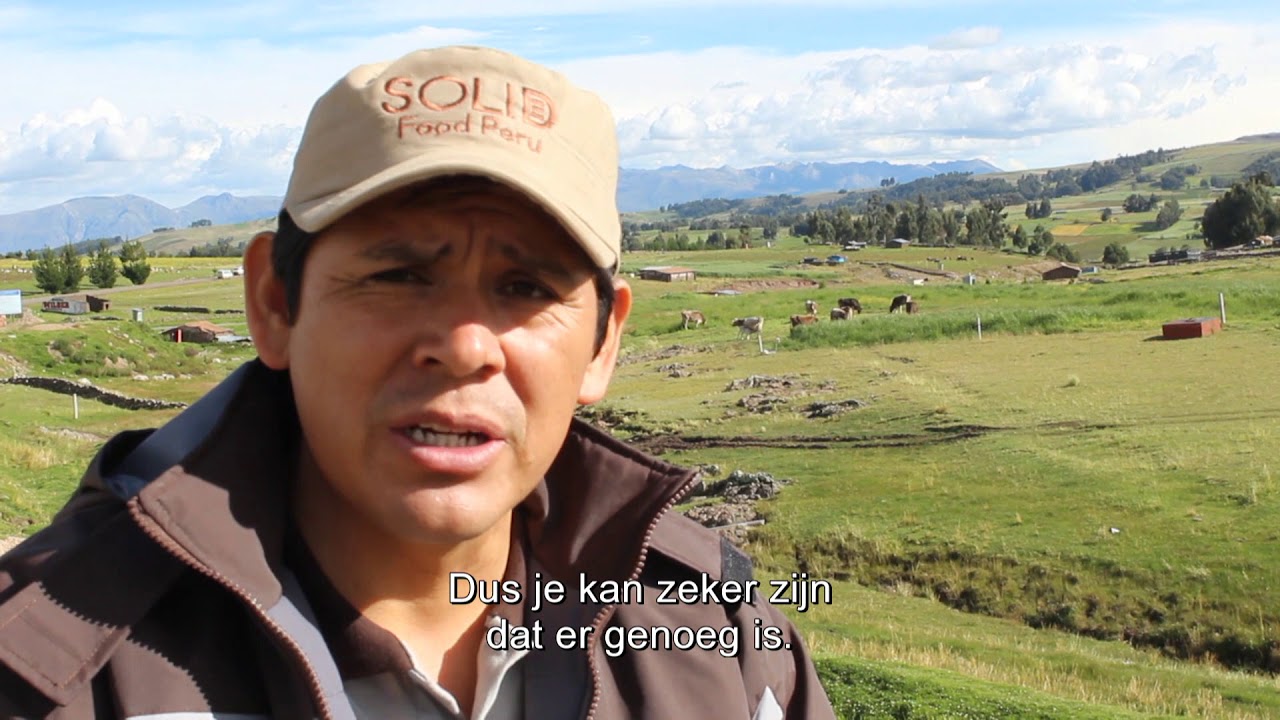 Quinoa uit Peru: wat is de impact voor de lokale bevolking