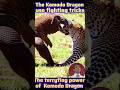 The terryfing power of comodo dragon #shortvideo #animals #facts #funny #viralvideo #ai #aishorts