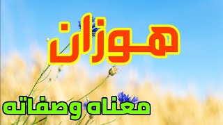 معنى اسم هوزان وصفات من يحمل هذا الاسم !!