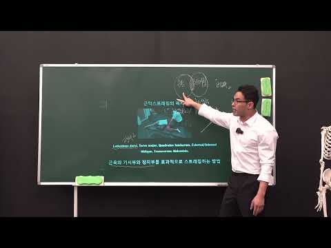 근막스트레칭 <strong>이론</strong> 1-1