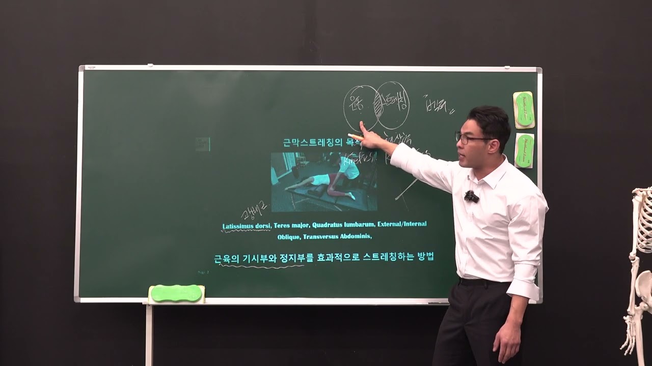 근막스트레칭 이론 1-1