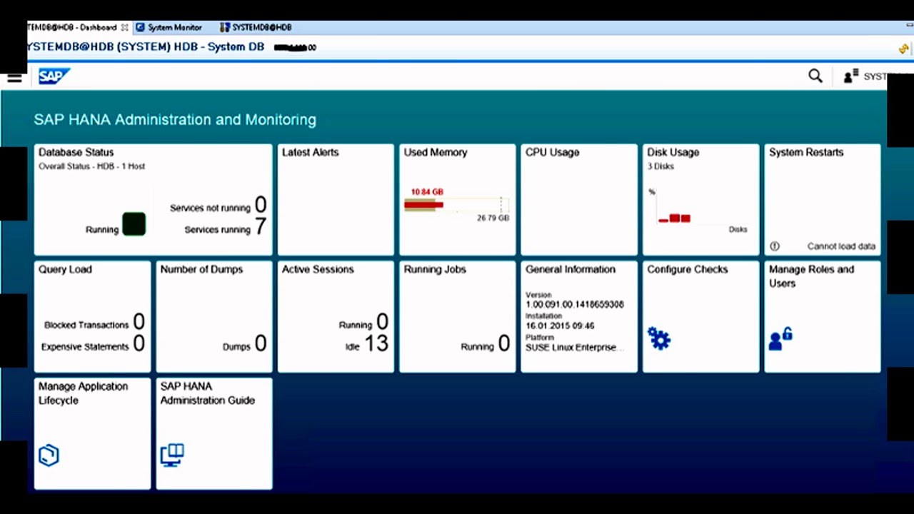 Sap Intro SAP Intro how Strong is SAP - YouTube