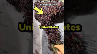You HAVE to Pin Your Country at This Museum 😳