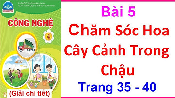 Công Nghệ Lớp 4 Bài 5 | Chăm Sóc Hoa Cây Cảnh Trong Chậu | Trang 35 - 40 | Chân Trời Sáng Tạo