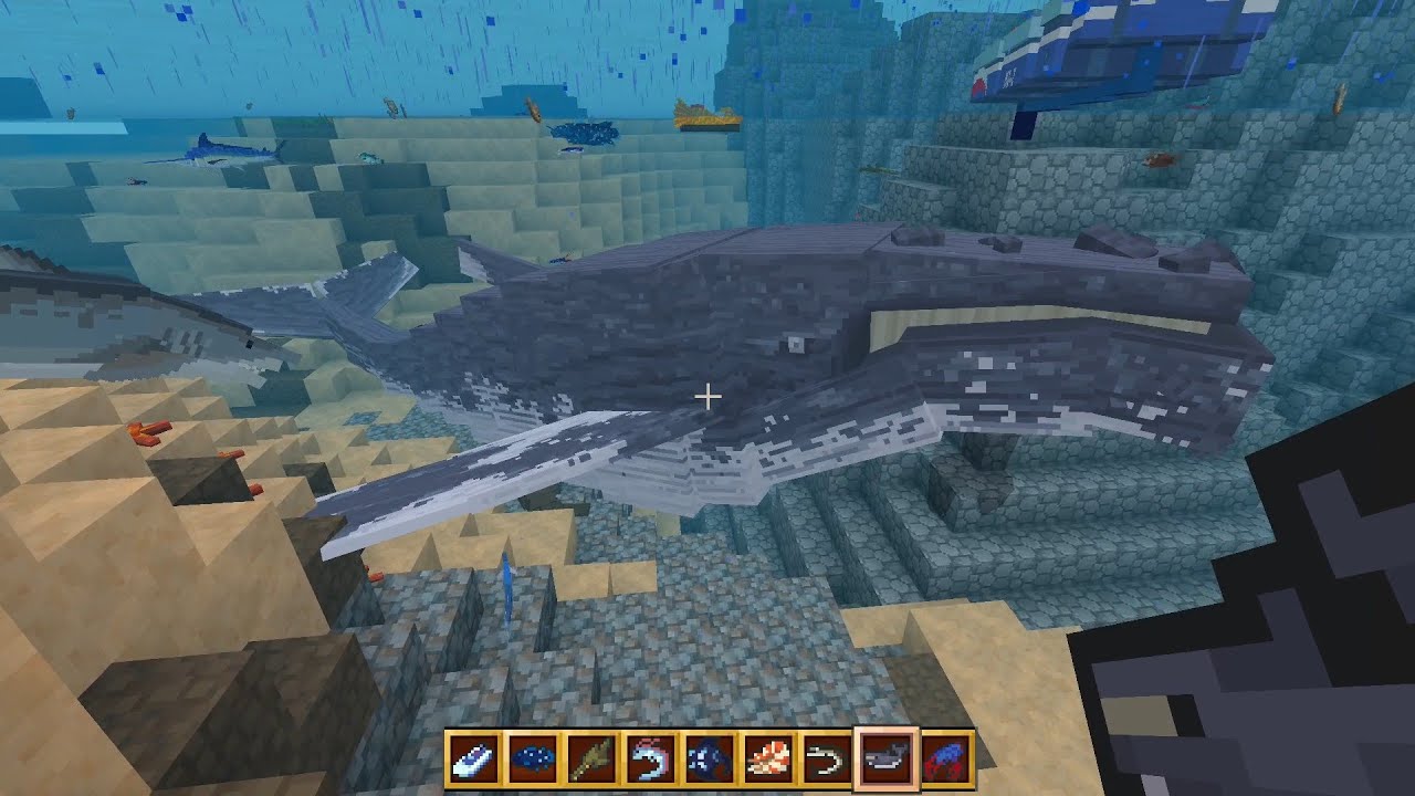 Ocean Expansion Addon in Minecraft PE - YouTube