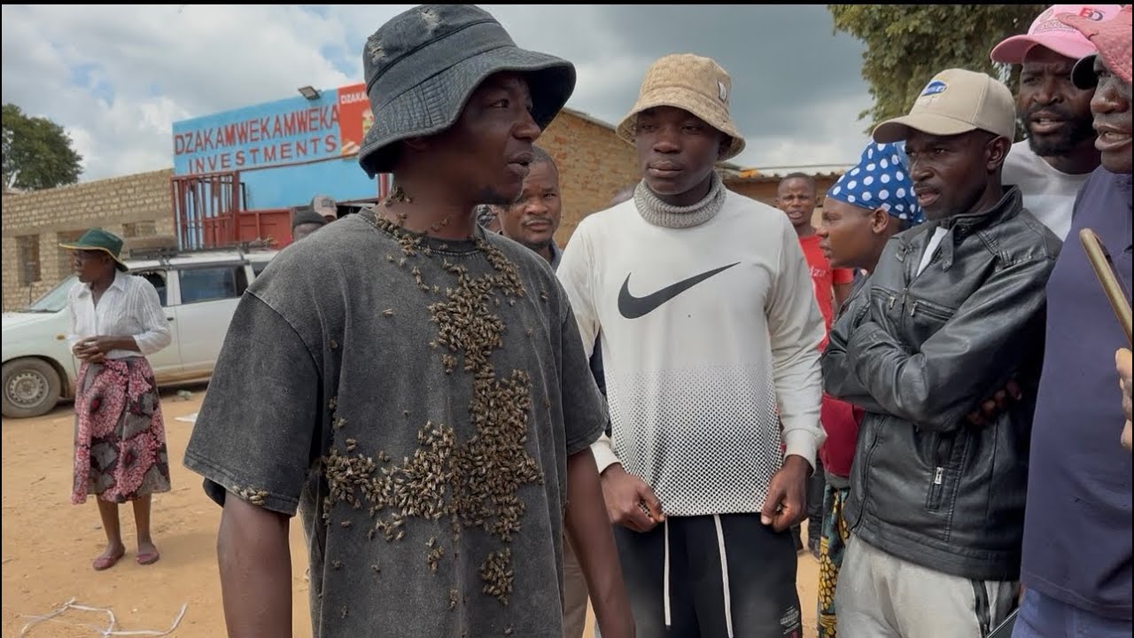 MBAVHA Yabatwa Nenyuchi Zvatyisa Vanhu | ARRESTED BY BEES