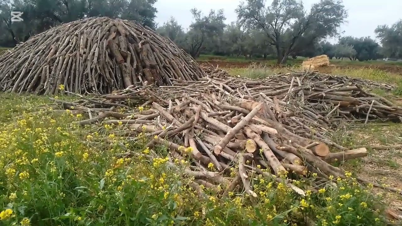 كوشة ديال الفاخر مختبر طبيعي 