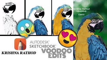 Autodesk Sketchbook. Tracing and Sketching A Beautiful Bird (How Did I Make This, Time lapse)