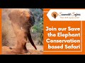 Save The Elephants Safari - Sunworld Safaris