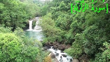 سُورَةُ الزَّلۡزَلَةِ بصوت الشيخ عبد الرحمن بن موسى رواية ورش عن نافع تجويد رائع