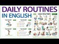 Daily routines in english  vocabulary