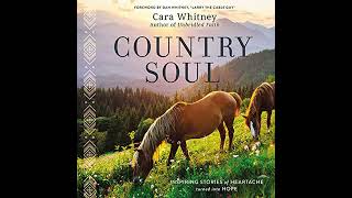 Country Soul: Inspiring Stories of Heartache Turned into Hope by Cara Whitney | Free Audiobook
