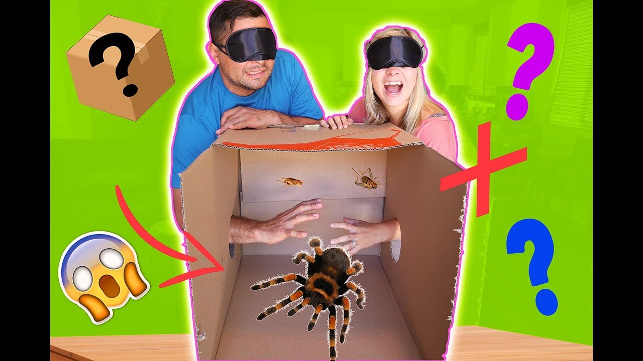 MYSTERY BOX CHALLENGE! (WHAT'S INSIDE?!) *scary* // SoCassie