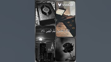 سورة التكاثر | اسلام صبحي