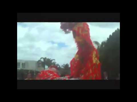 Australia Zhong Hua Qun Yi Lion Dance Association 2011