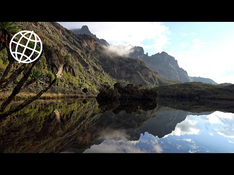 ቪዲዮ: Fiordland ብሔራዊ ፓርክ፡ ሙሉው መመሪያ