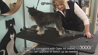 Oster Volt Cordless Pet Clippers Review: Are They Powerful Enough for Thick Coats