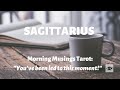 Morning Musings: SAGITTARIUS ♐ You've been led to this moment! Tarot Reading, Jan 11