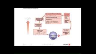 Macauley BIOL 106 Lecture 2 (Chapter 25 and 11) W15
