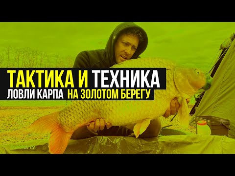 Советы по технике и тактике ловли карпа на водоёме ЗОЛОТОЙ БЕРЕГ 🏆 ИНТЕРВЬЮ / Часть 2