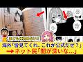外国人さん「日本よこれを見てくれ！公式なのにマンガが読めねぇ！」→海外の”規制の闇“が深過ぎた...【海外の反応】