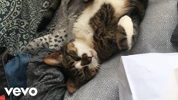 odin - odin is a premiere with count down