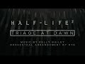 Half-Life 2 - Triage At Dawn (Orchestral Arrangement by Kyr) #oneorchestra