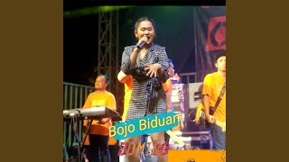 Download Lagu Bojo Biduan MP3 Download Lagu Bojo Biduan MP3