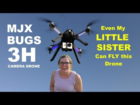 bugs 3h drone