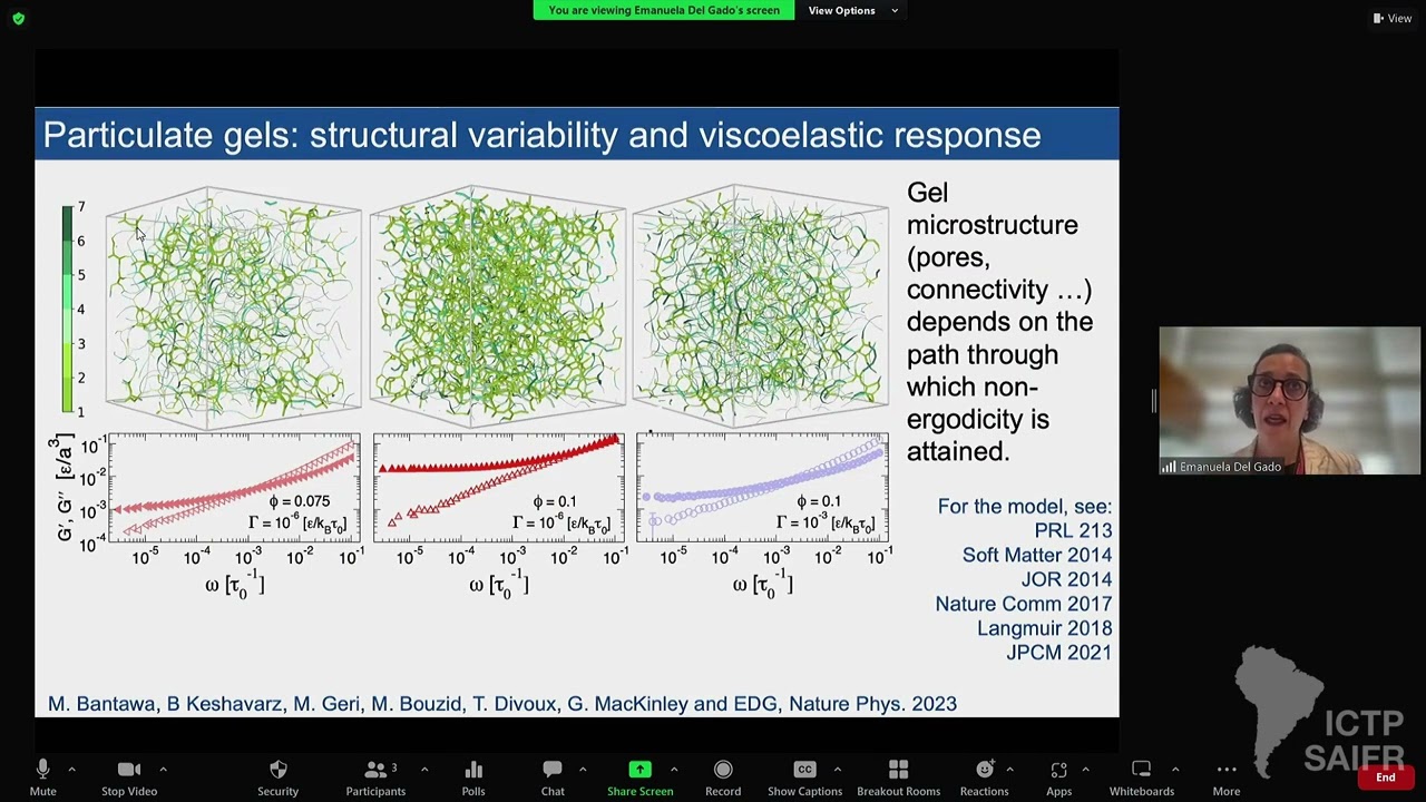 Emanuela del Gado: The hidden hierarchical nature of soft particulate gels
