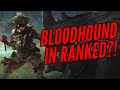 Bloodhound In Pred Lobbies - Solo To Predator (Day 8)