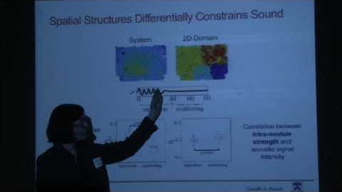 Characterizing force-chain network architecture in granular materials - Danielle Bassett
