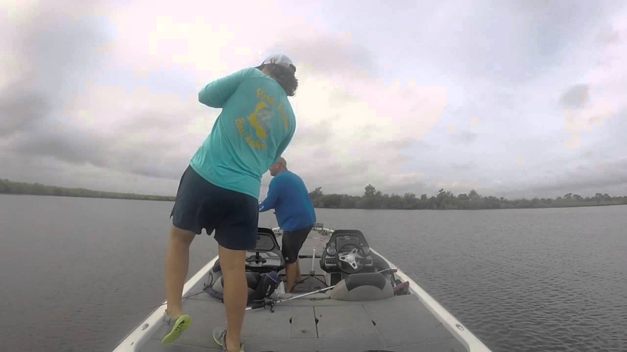 Bayou Liberty 3rd Place