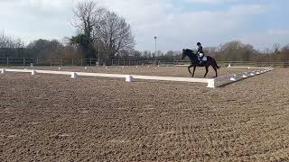 Prelim 7 Dressage Test with Penistone and District Riding Club