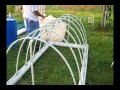 Chicken Tractor (The Build)