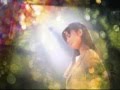 ZARD 君がいない bymayumayu