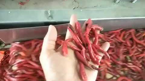AMD Fresh red pepper/chili colour sorting/sorter/sortex machine and impurity removal