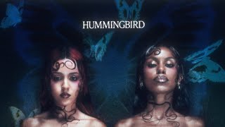 Download Lagu Nova Twins - Hummingbird (Lyric Visualiser) MP3 Download Lagu Nova Twins - Hummingbird (Lyric Visualiser) MP3