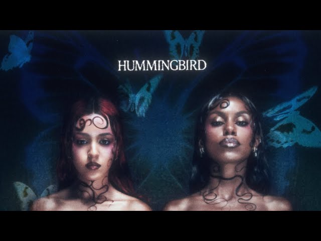 Watch Nova Twins - Hummingbird (Lyric Visualiser) on YouTube Watch Nova Twins - Hummingbird (Lyric Visualiser) on YouTube