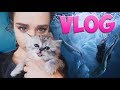 MW ♥ VLOG - ПОЕХАЛА В АМЕРИКУ!! НЕ УТОНУЛА В БАССЕЙНЕ  - Маша Вэй