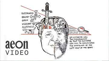 Our brains are far more complex than a left/right split | The Divided Brain